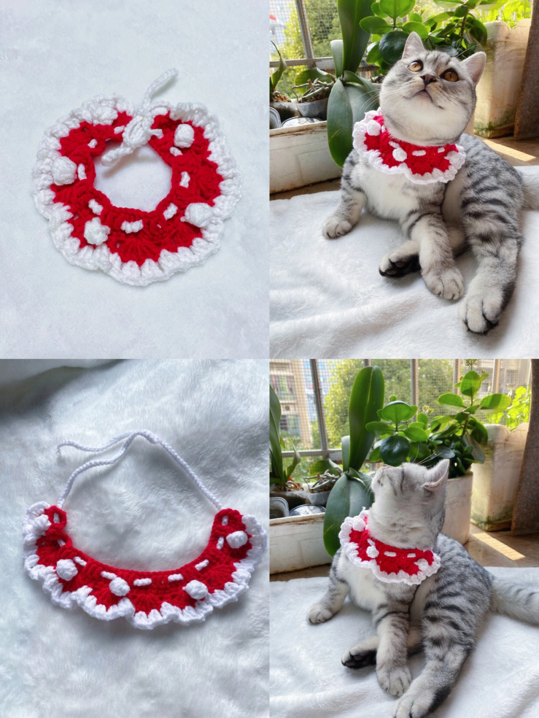 猫咪围脖编织教程简单图片