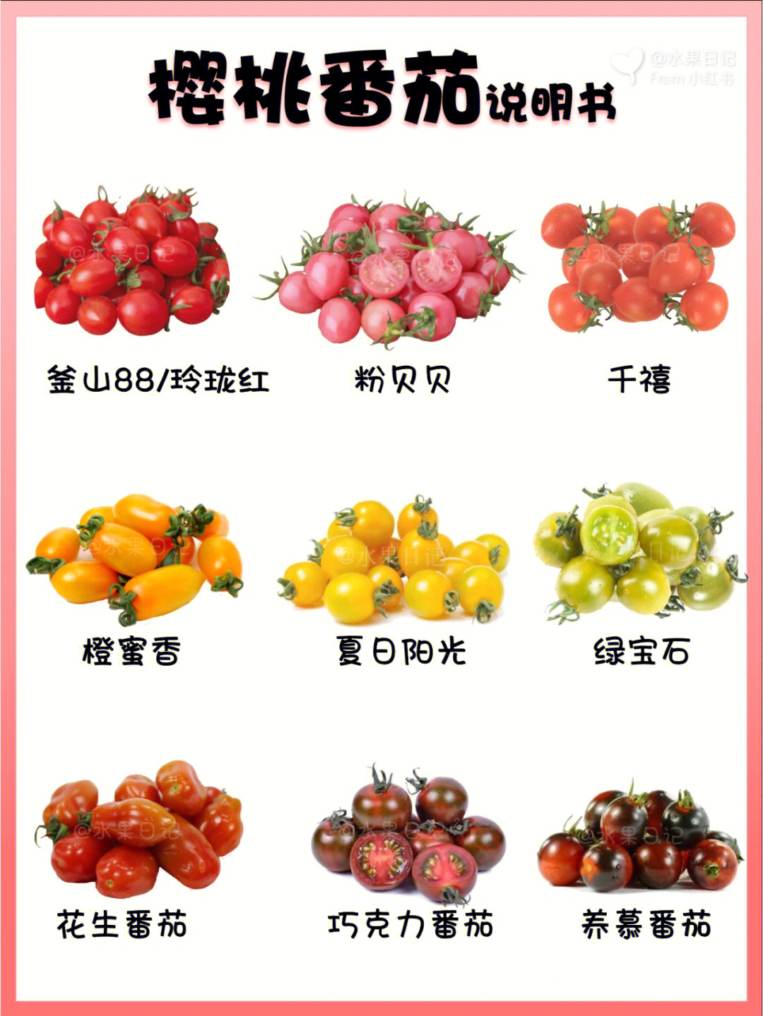 千禧釜山88玲珑圣女果等都是樱桃番茄