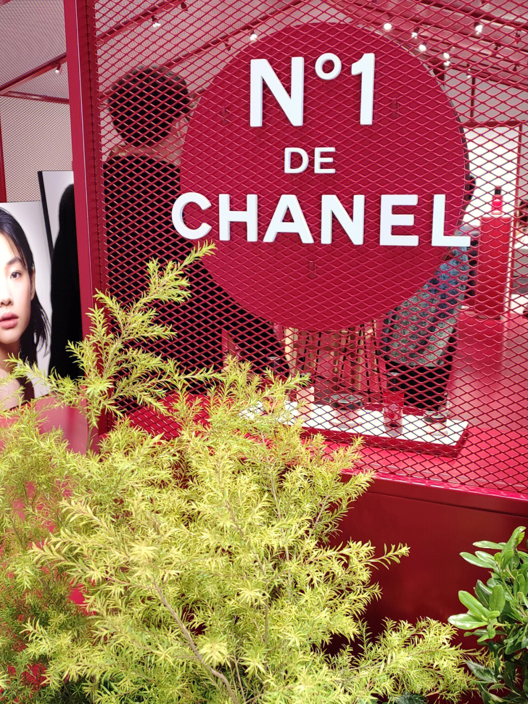 chanel红山茶新品发布会