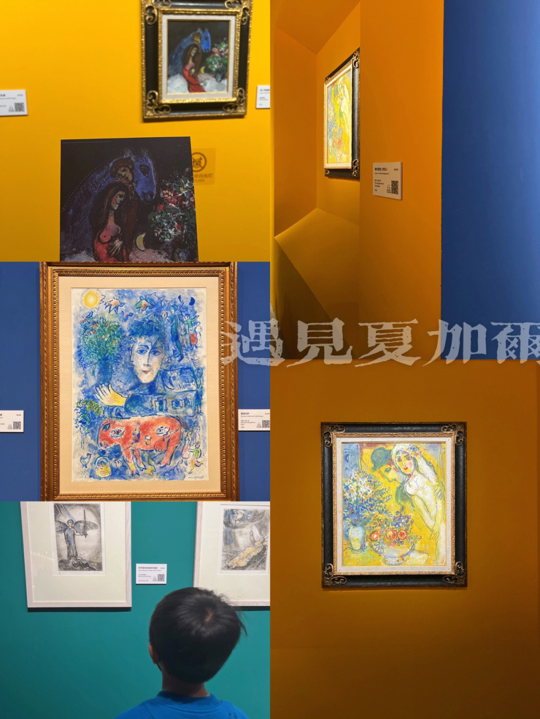 夏加尔展览北京图片