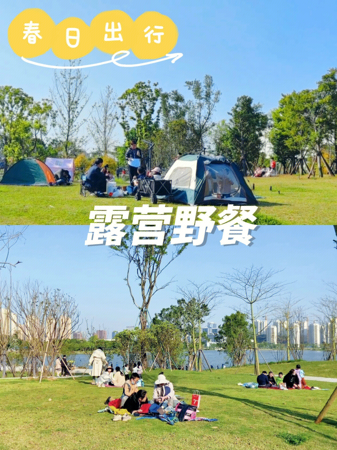 福州旗山公园恢复营业图片