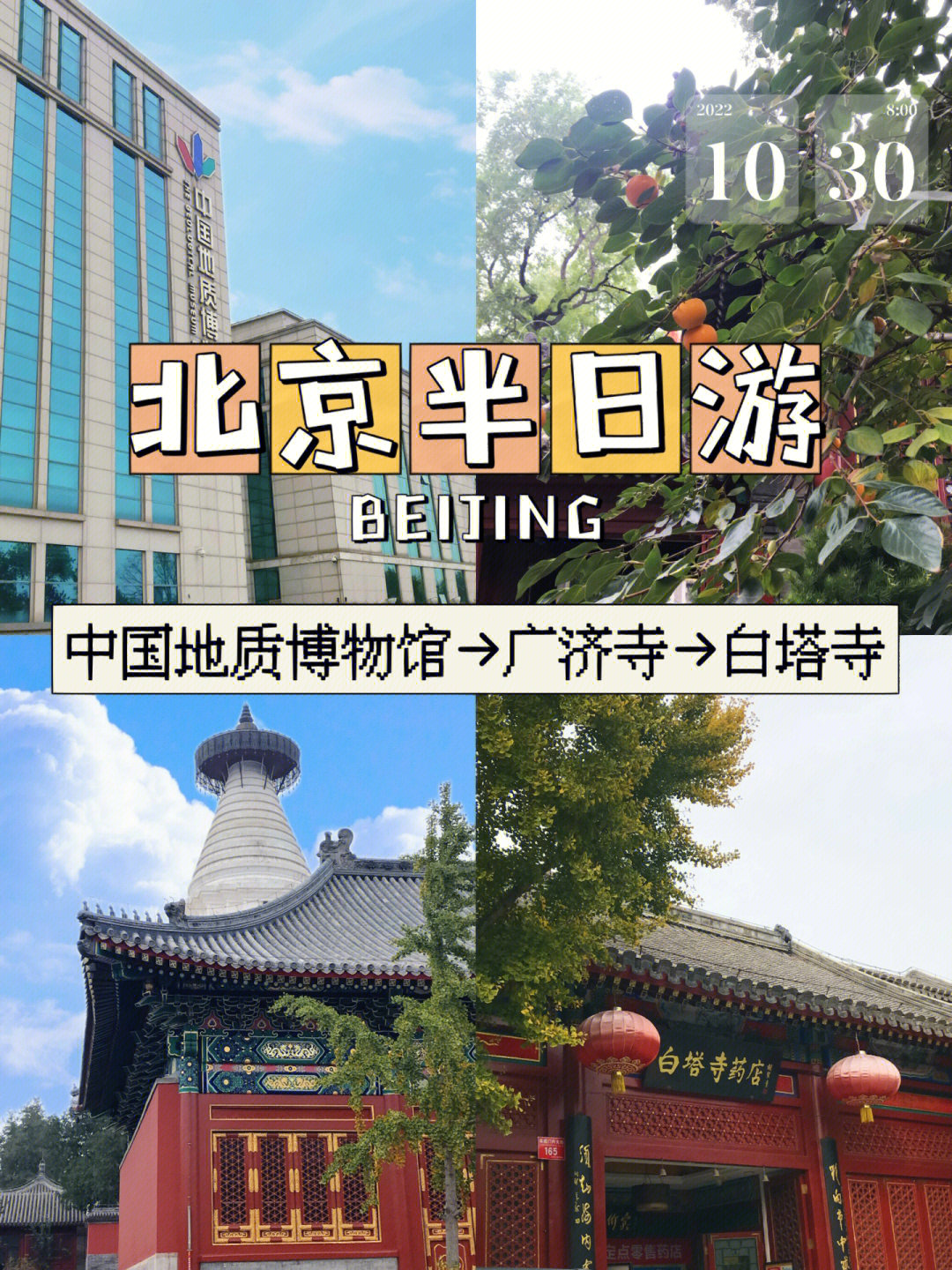 白塔寺博物馆图片