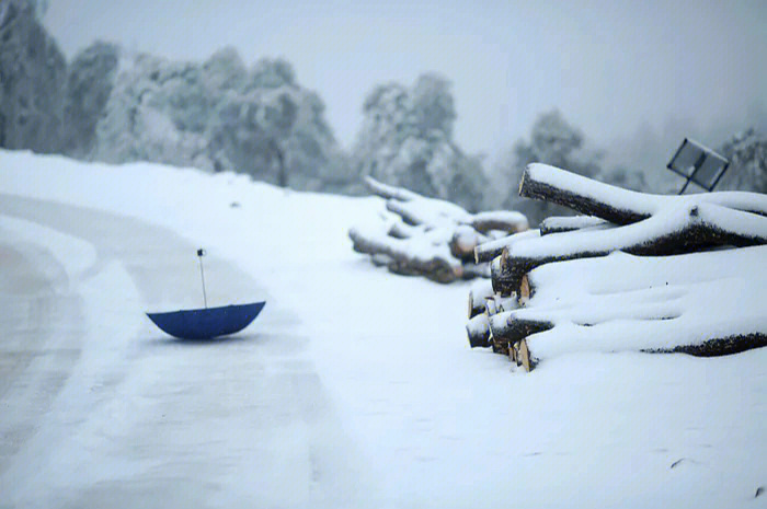 大寺基滑雪场图片