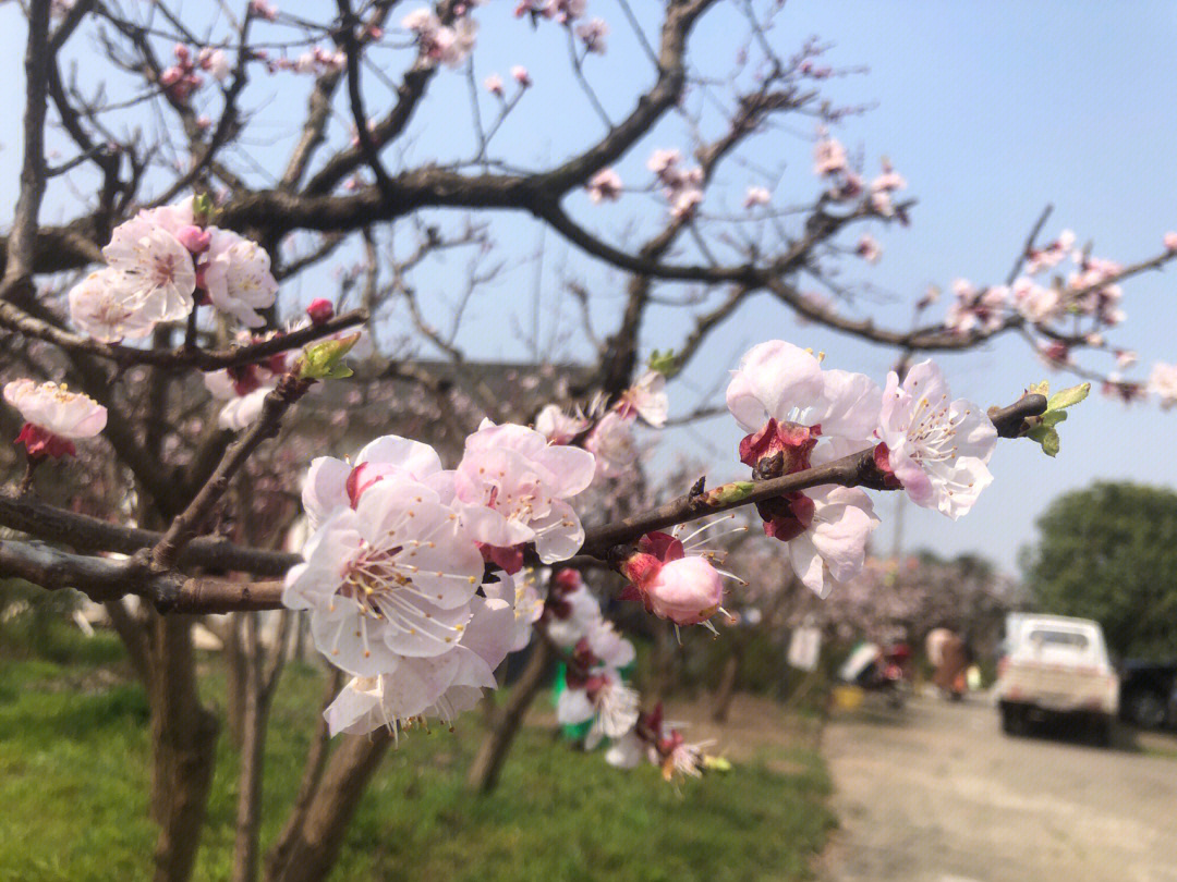 3月8日图片 真实图片