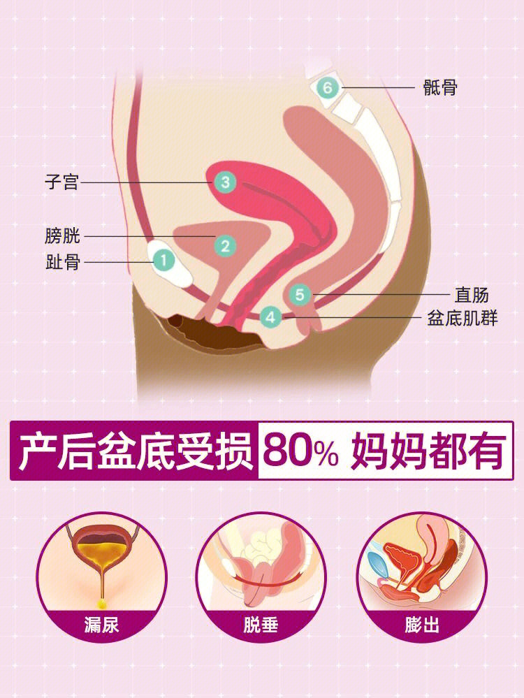 宫底后壁图片