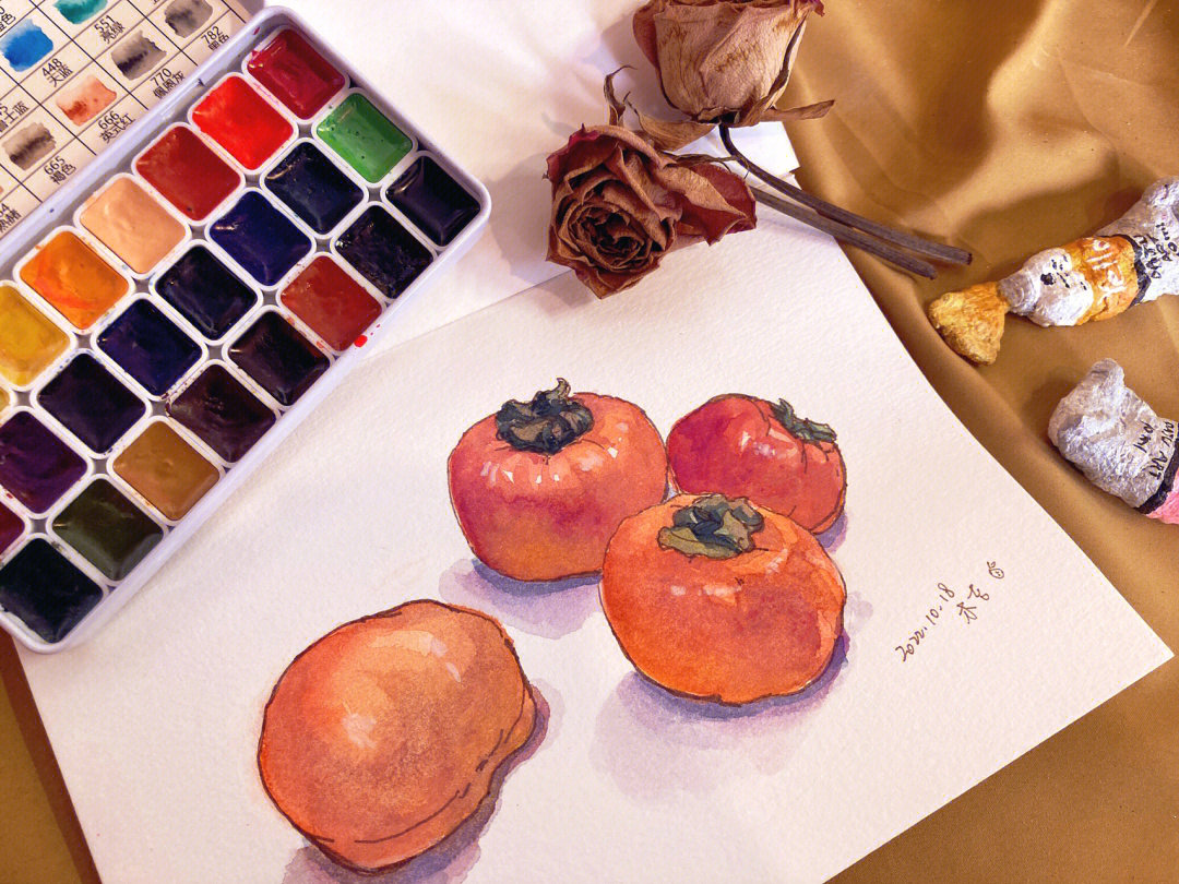 钢笔淡彩水彩美食柿子绘画过程