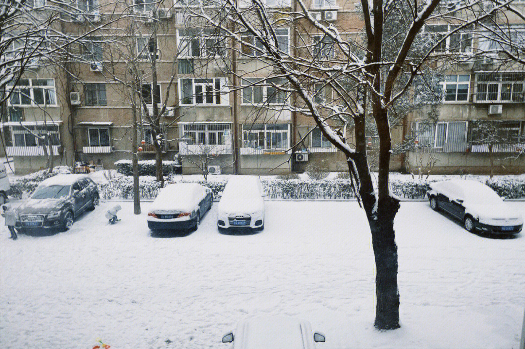 2月13日下大雪的北京太美了76