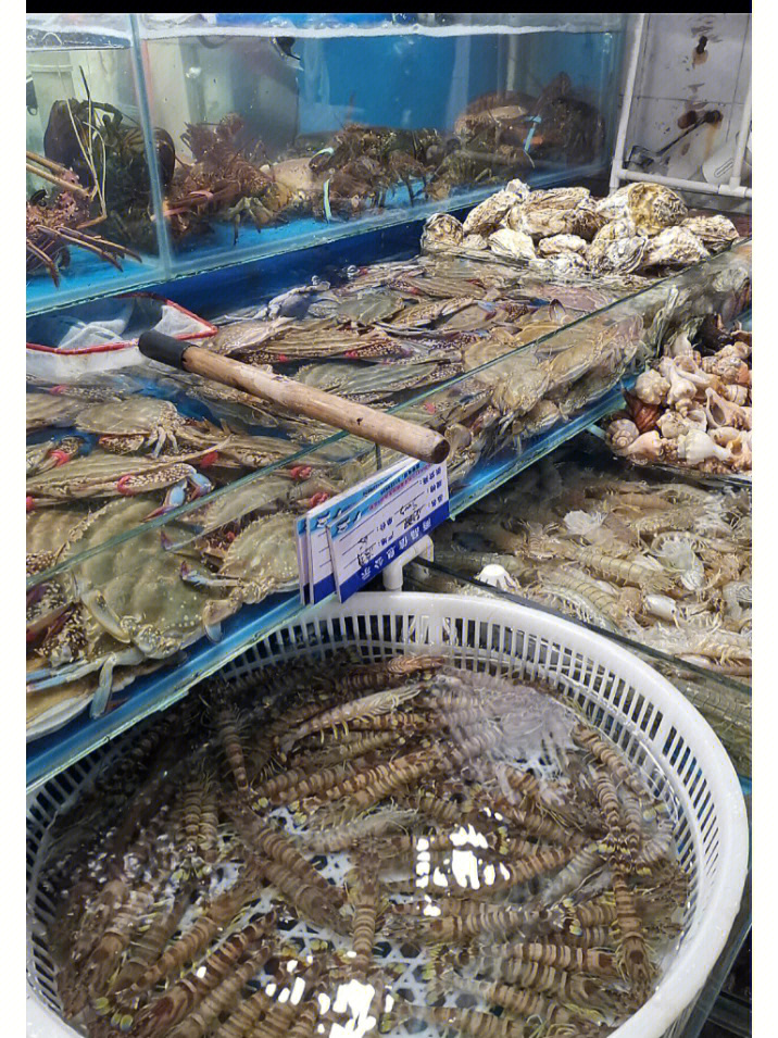 南京哪里有种类多些的海鲜水产市场