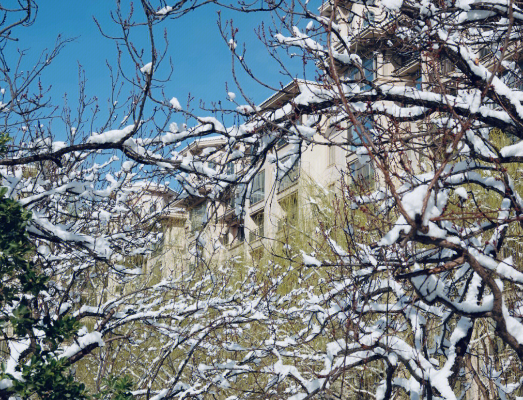 北京雪景