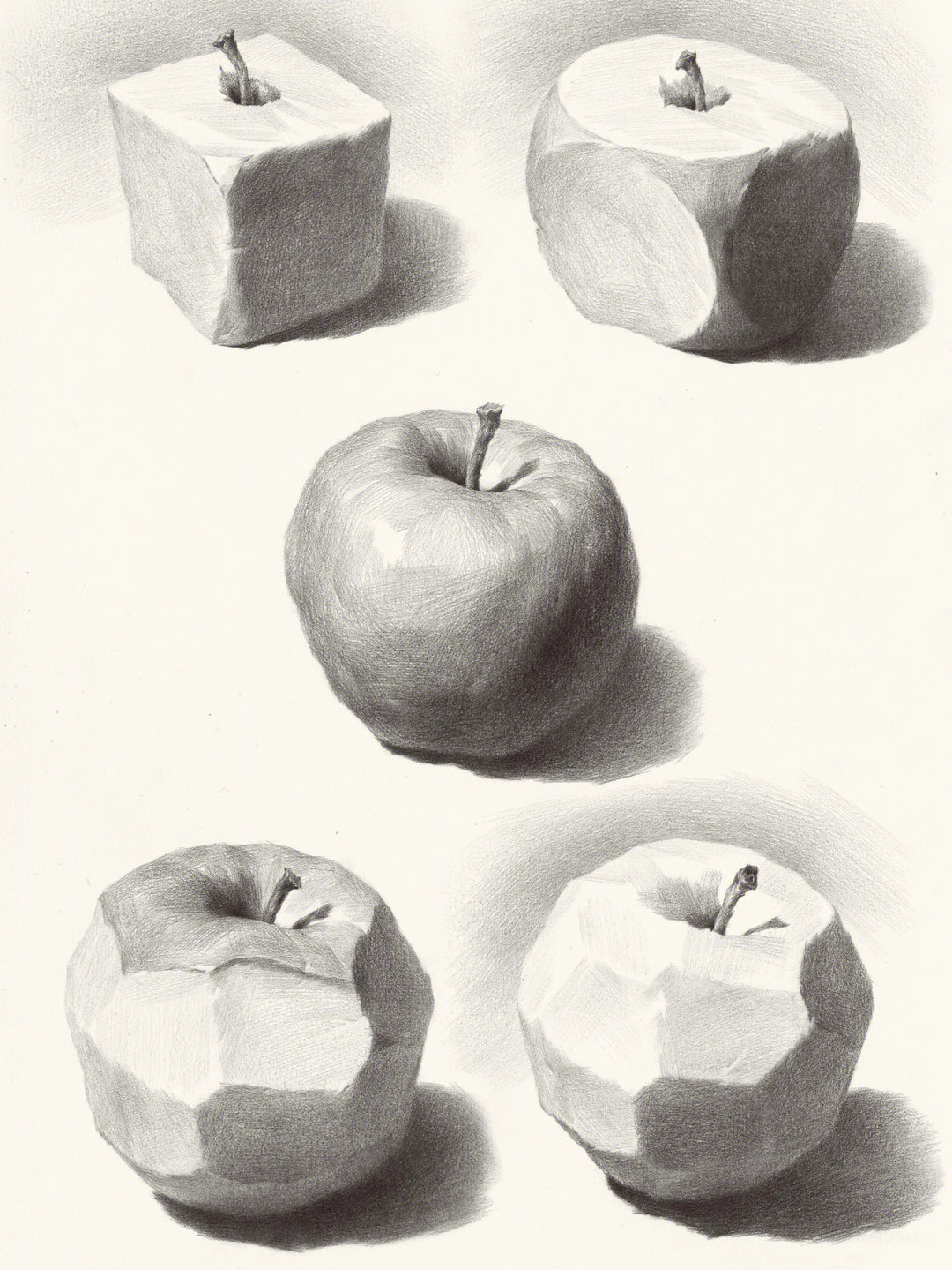 常见的素描静物水果单体高清图片