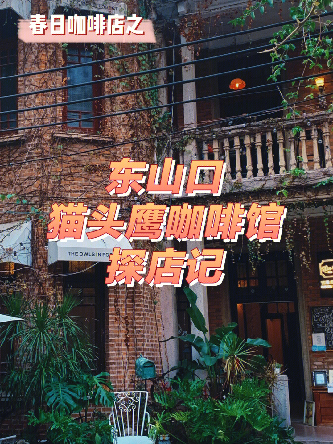 广州东山口民国猫头鹰咖啡馆与春天的约会