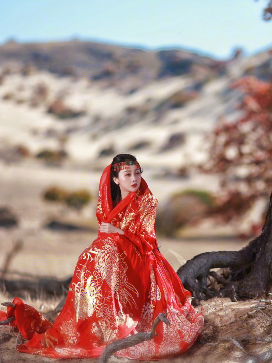 内蒙古赤峰乌丹沙漠里的一片红枫叶