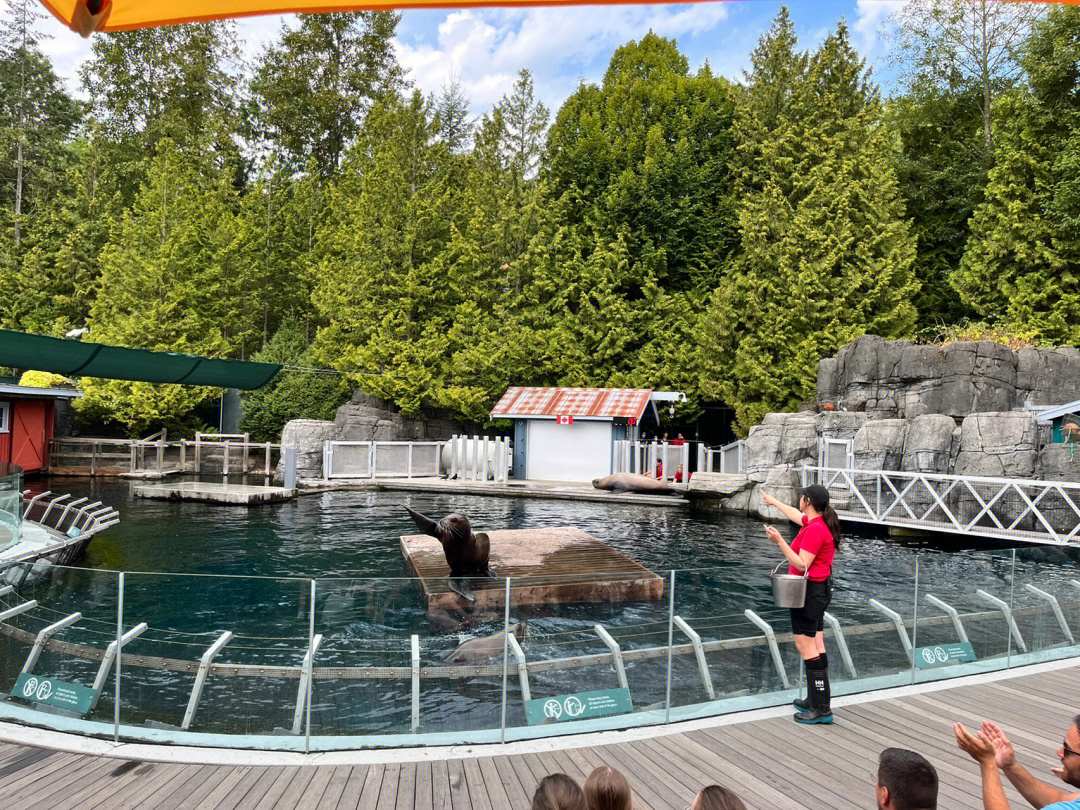 温哥华stanleypark水族馆