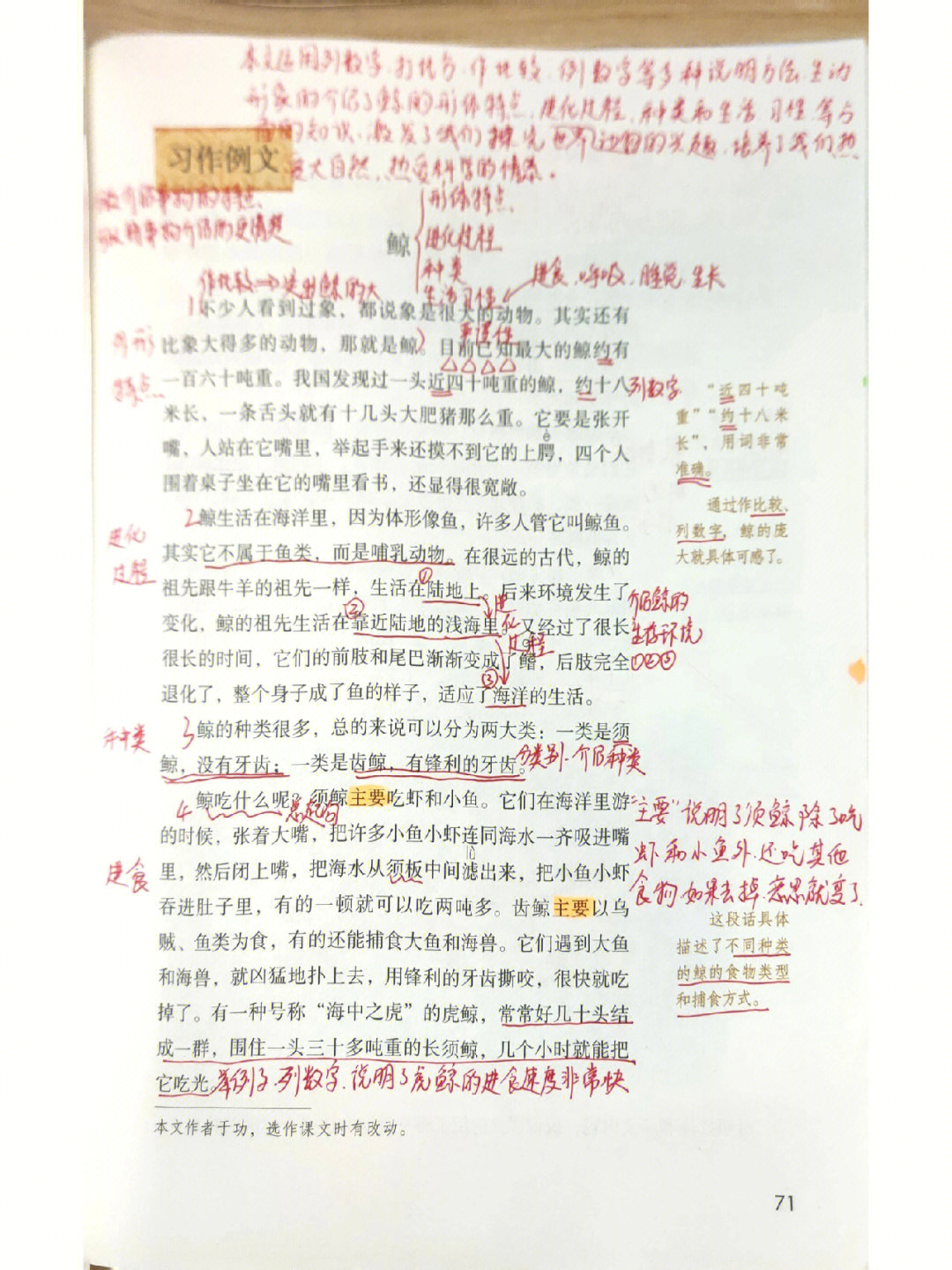 习作例文鲸风向袋的制作