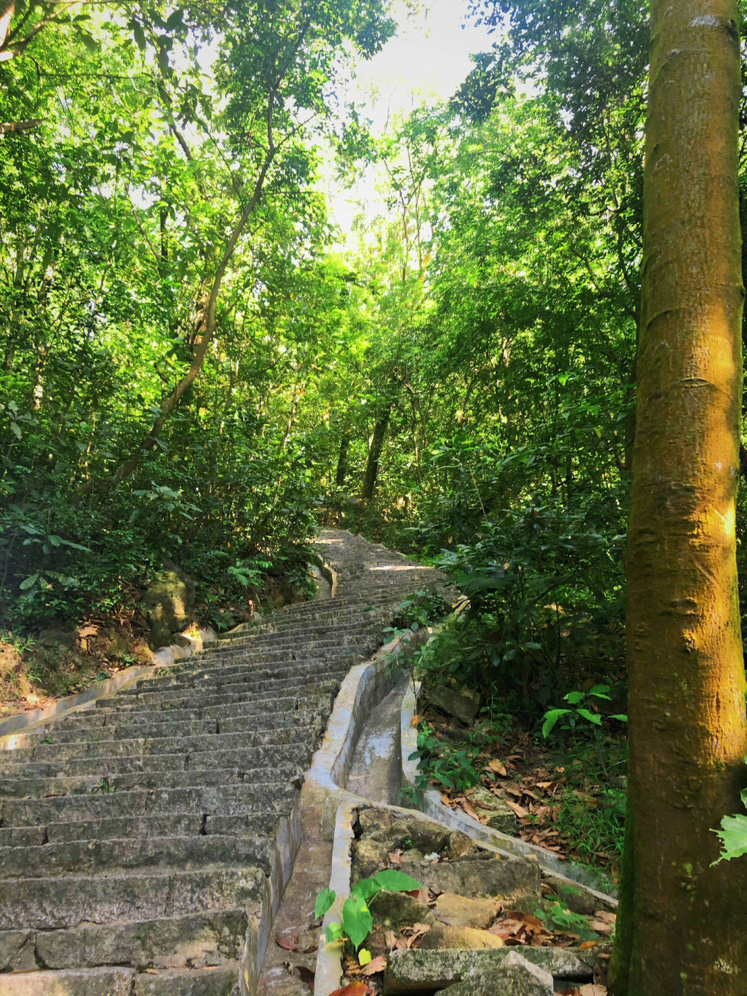 深圳市凤凰山森林公园位于宝安区西南部的福永镇凤凰村,凤岩古庙是最