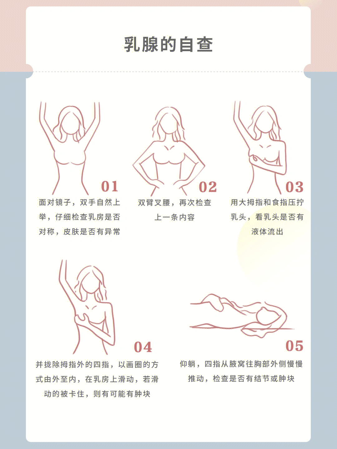 乳房触诊顺序图片