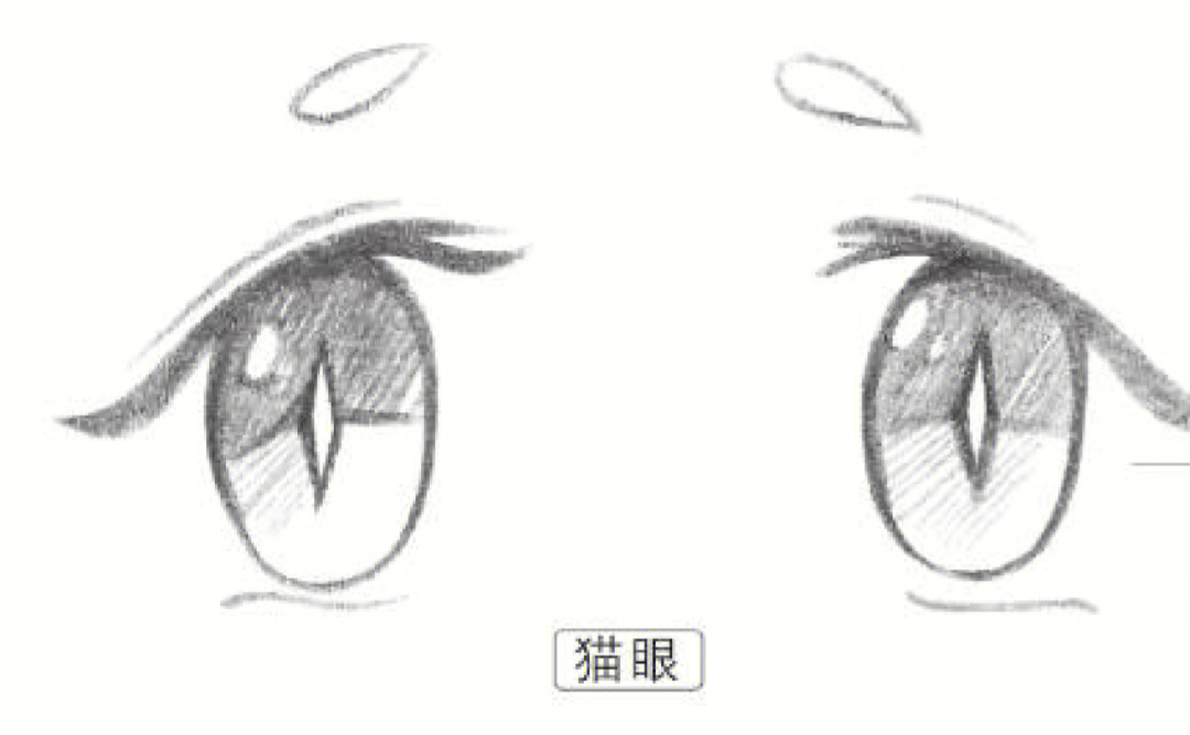 迪士尼眼睛画法图片