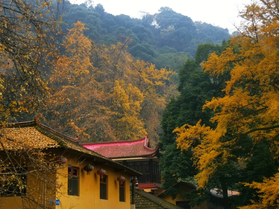 栾川白岩寺图片