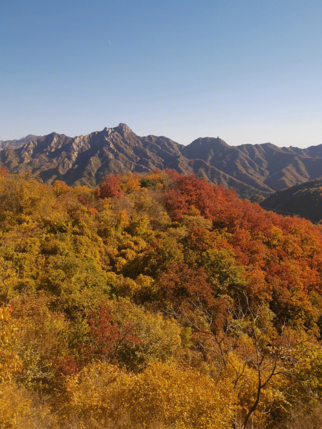 北京香山 全貌图片