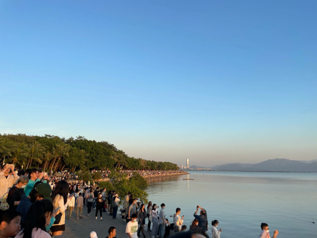 深圳湾公园 手机实拍#深圳湾公园