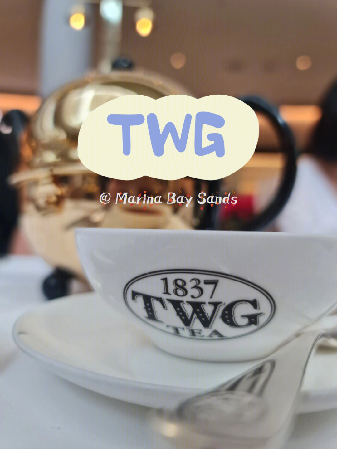 twg1837经典黑茶图片