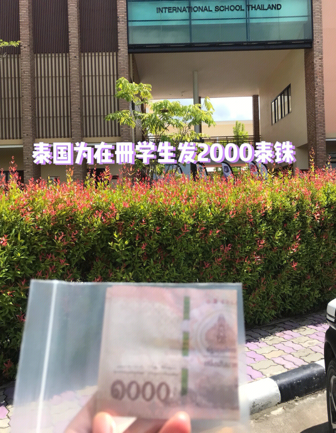 泰国教育部为疫情期间的学生发2000株