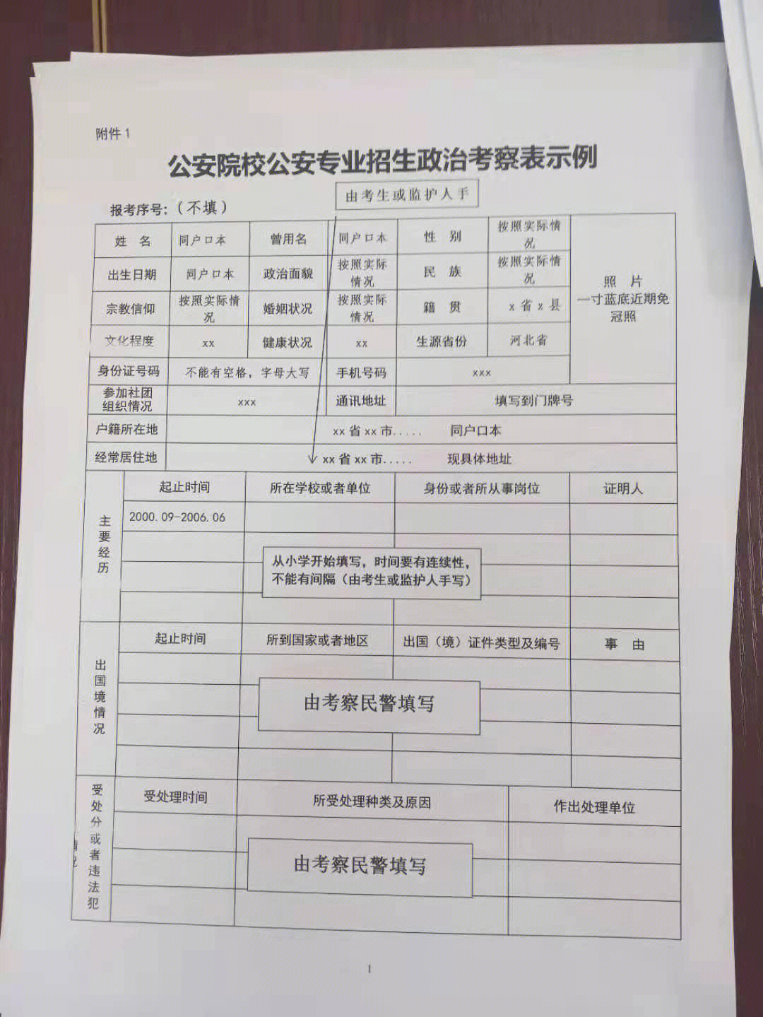 2022政审表模板图片