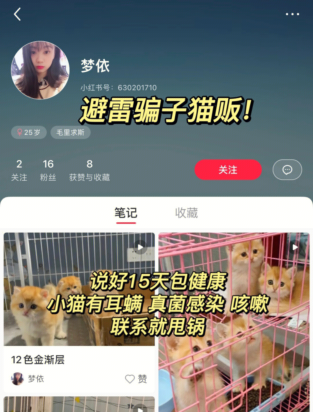 沈阳猫贩子图片