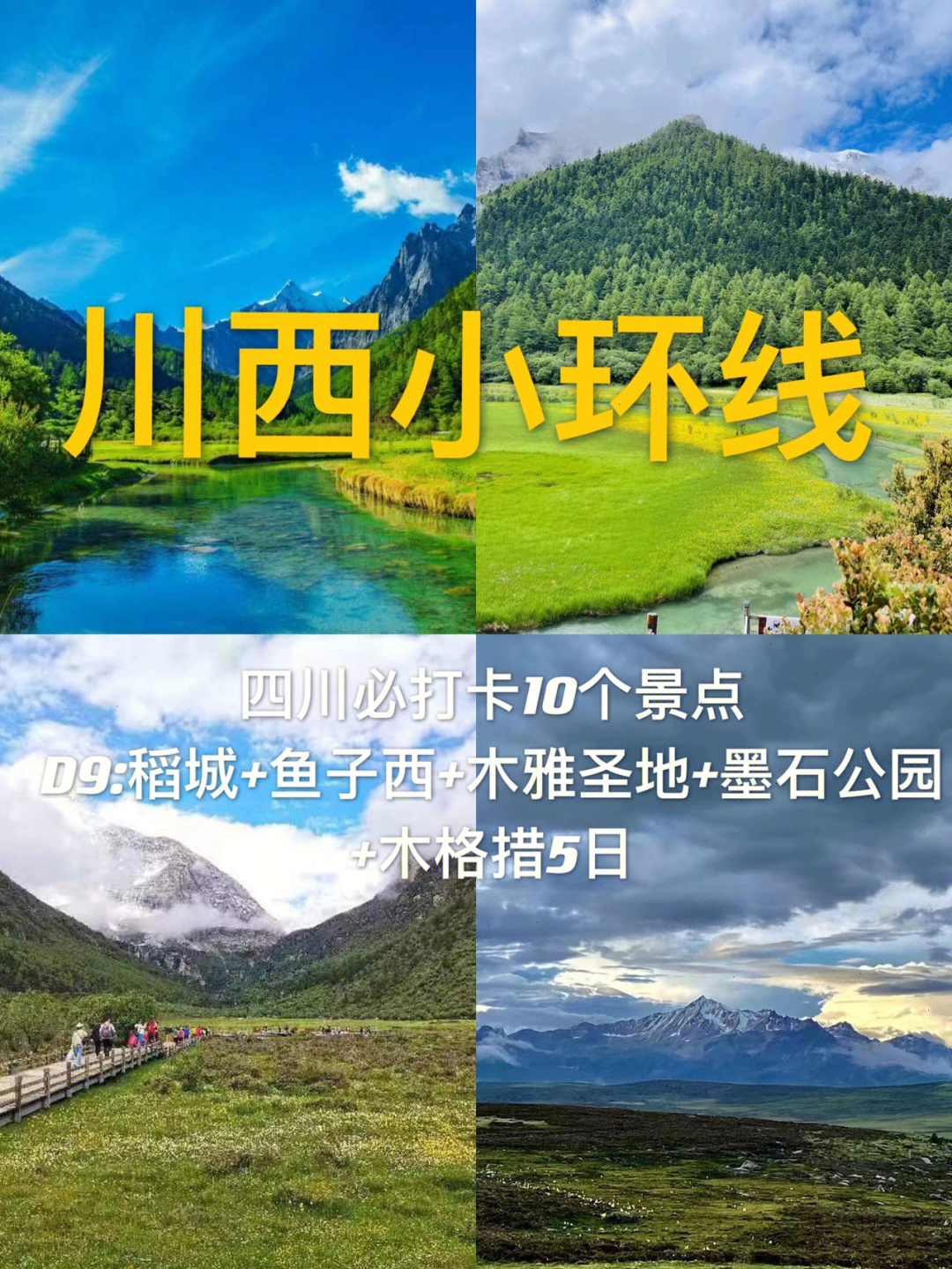 鱼子西海拔多少图片