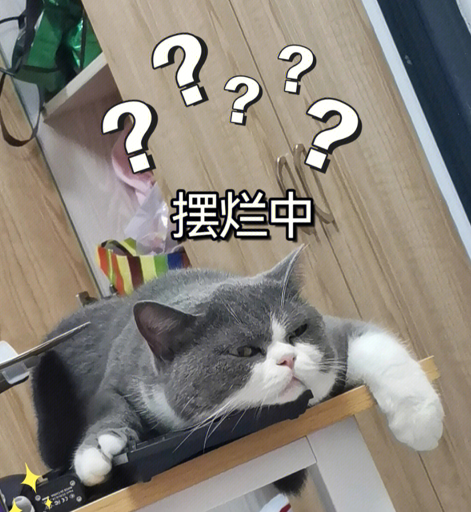 猫猫摆烂表情包图片