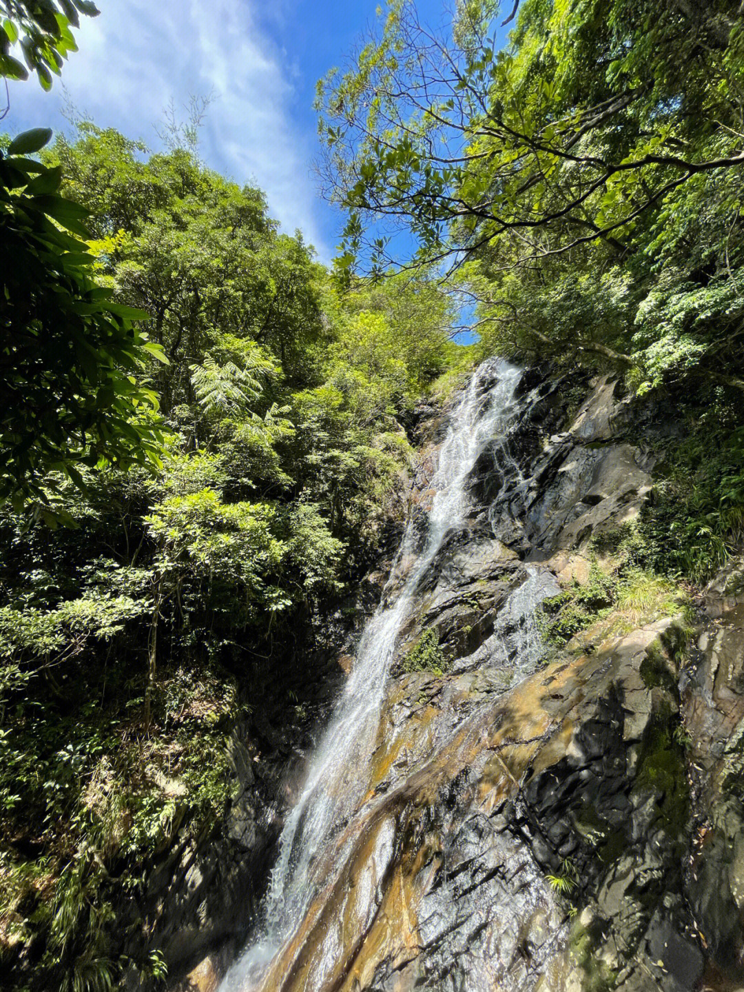 梧桐山葫芦径图片