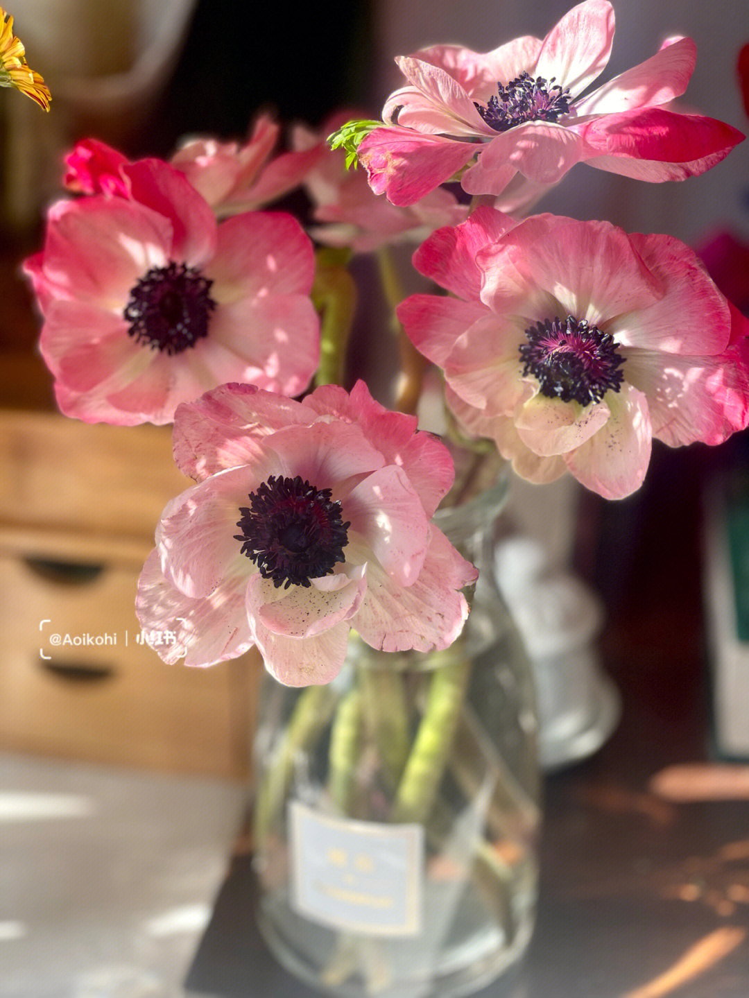 粉色银莲花花语图片