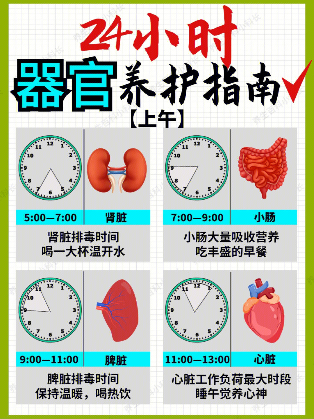 人体器官排毒时间表图图片
