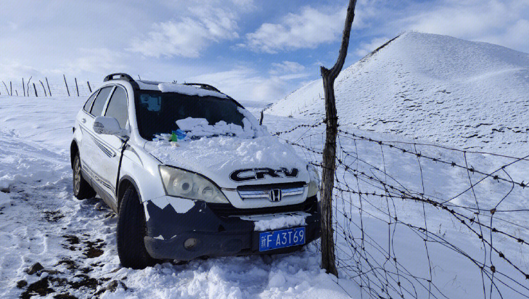 去帮断腿的大黑狗买药,雪地太滑车掉沟里