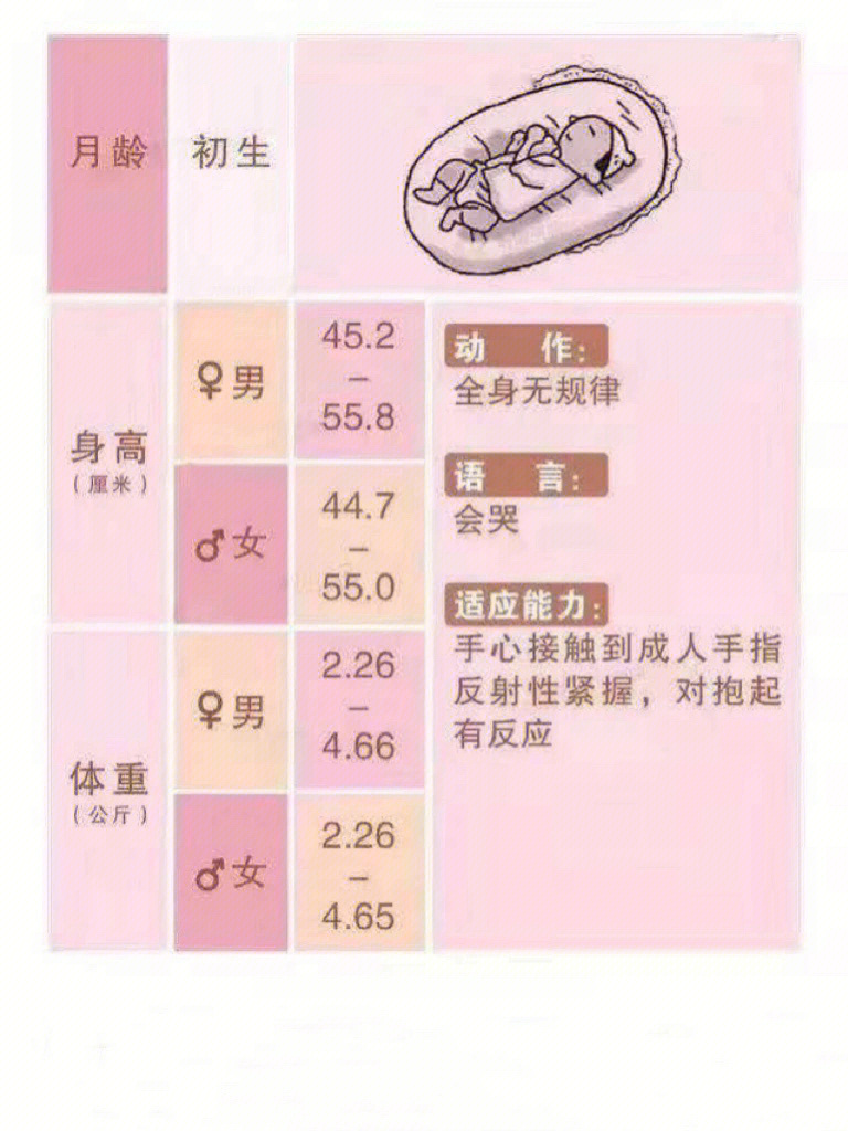 036个月宝宝发育指标