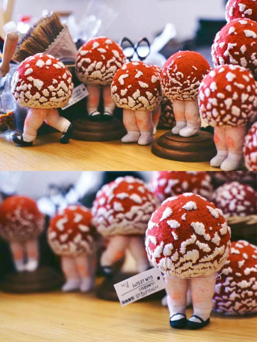 一群羊蘑菇图片