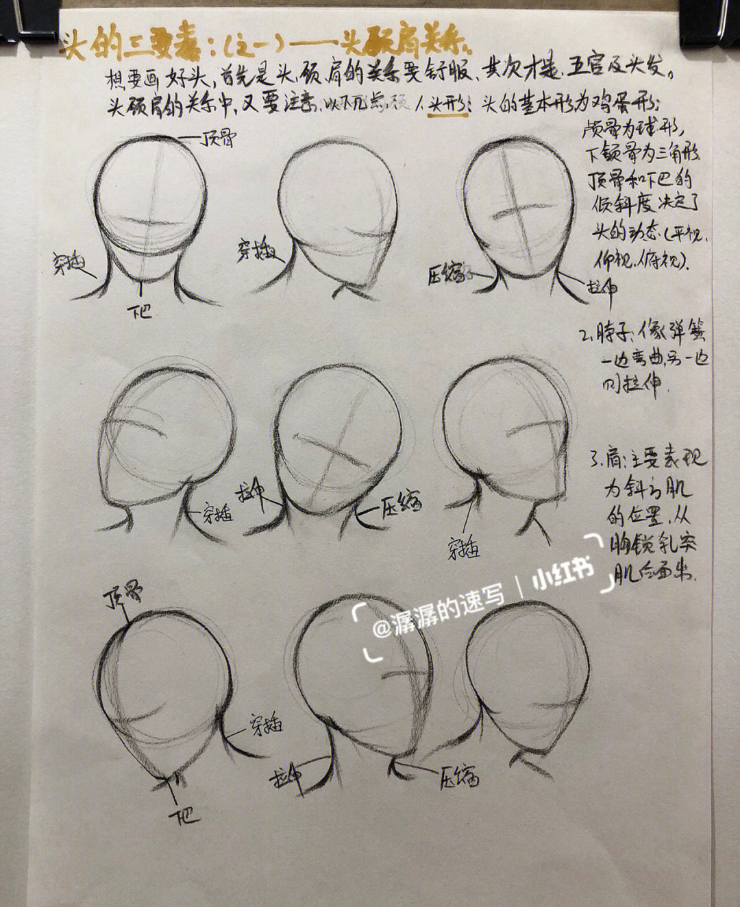 人头素描步骤图解图片