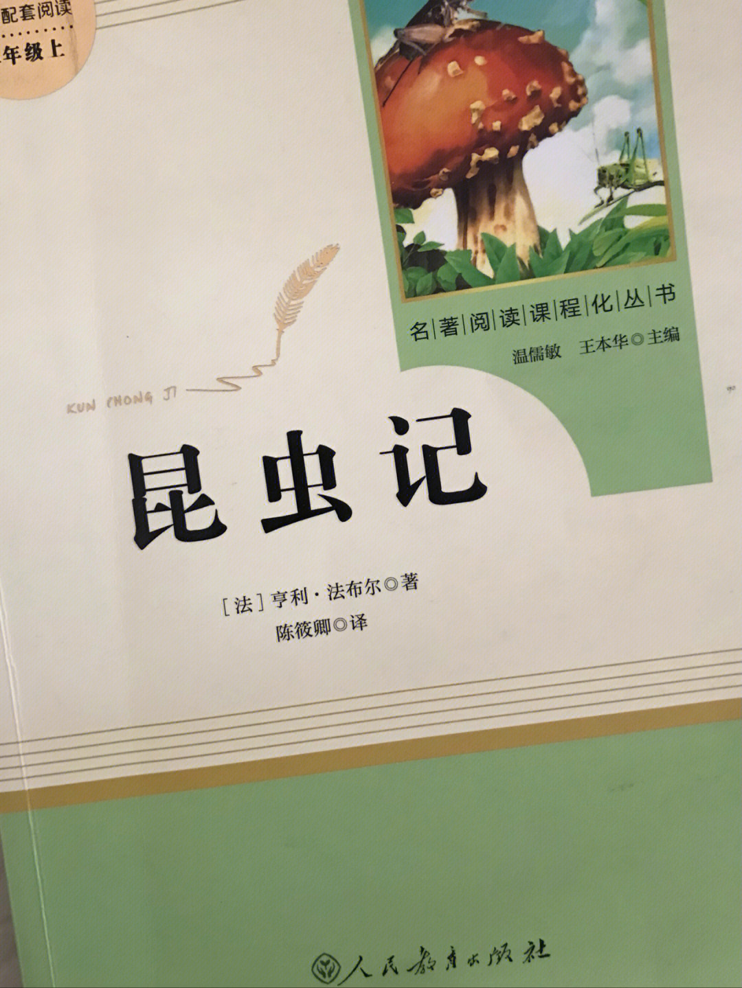 昆虫记圣甲虫批注图片