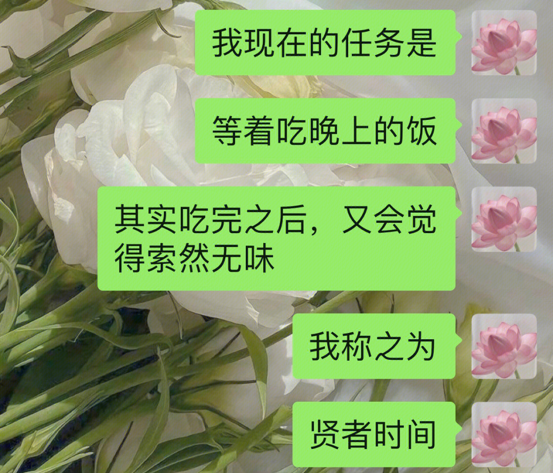 贤者时间是什么意思图片