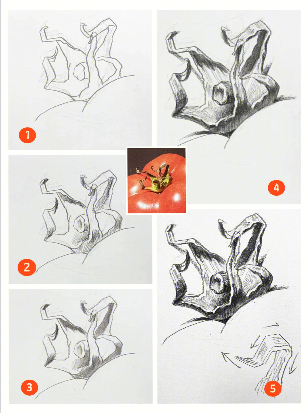 素描叶子的画法步骤图图片