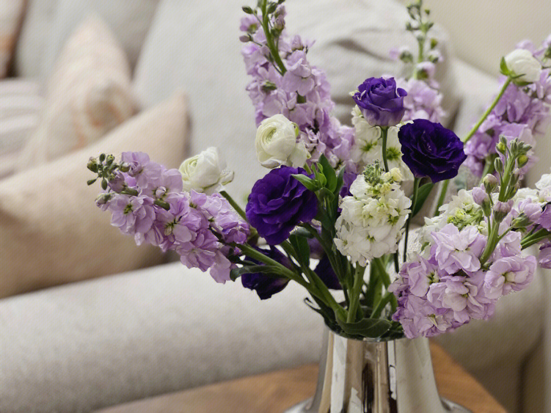 紫罗兰鲜切花养护方法图片