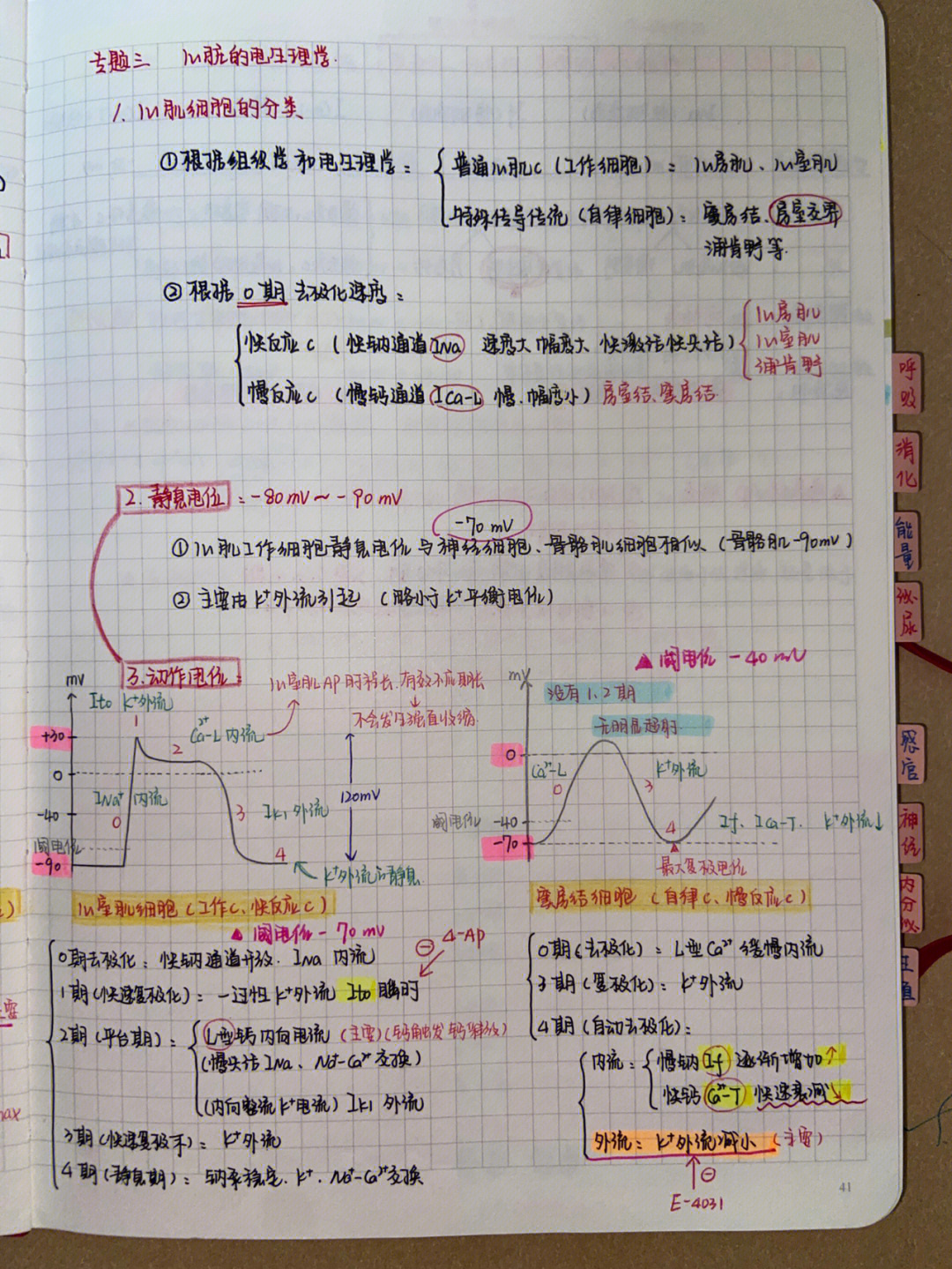 浦肯野细胞动作电位图图片