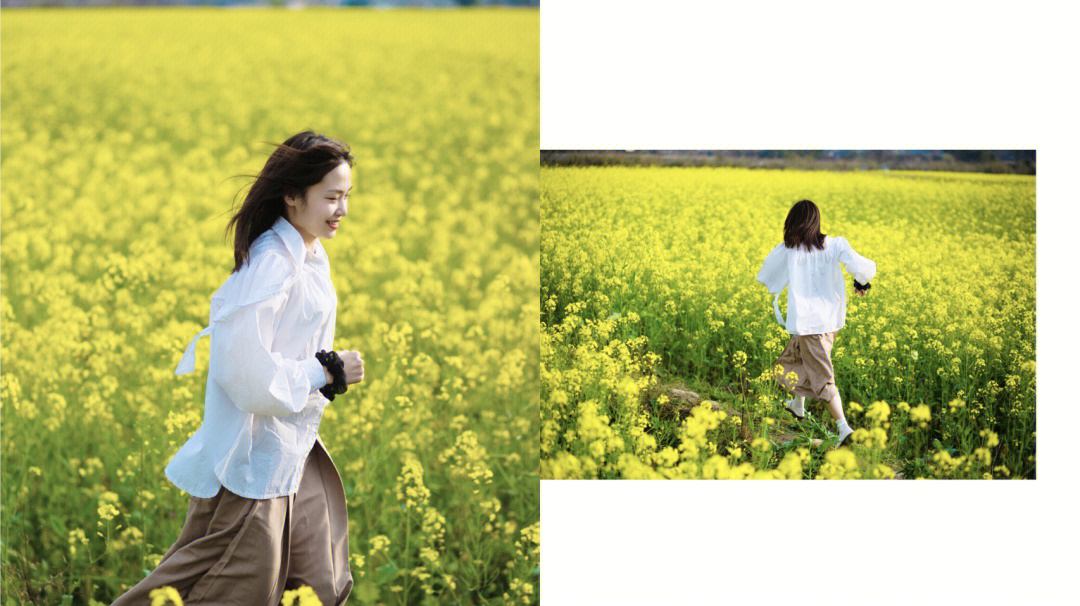 油菜花武夷山五夫