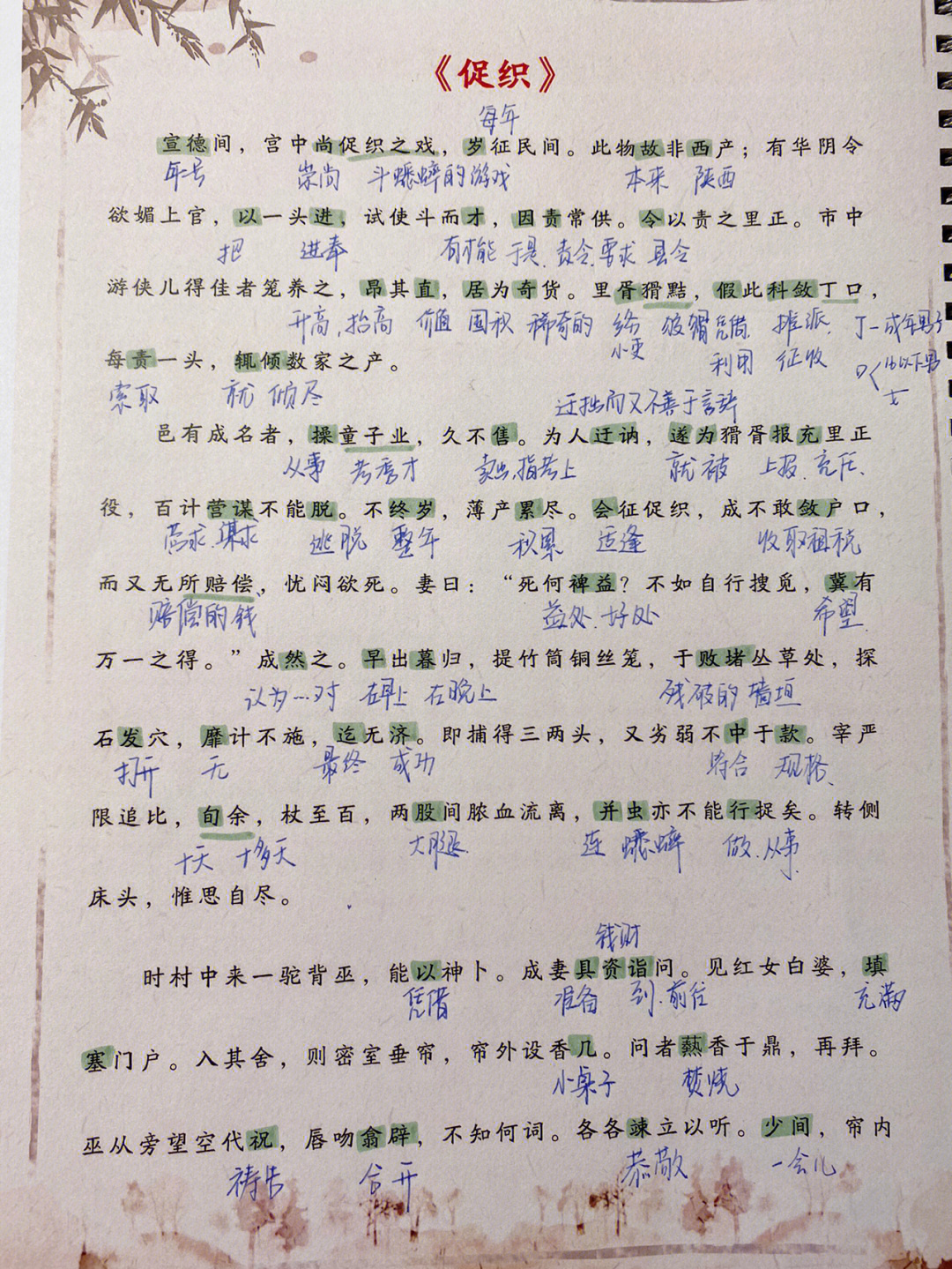 高中文言文速刷4促织