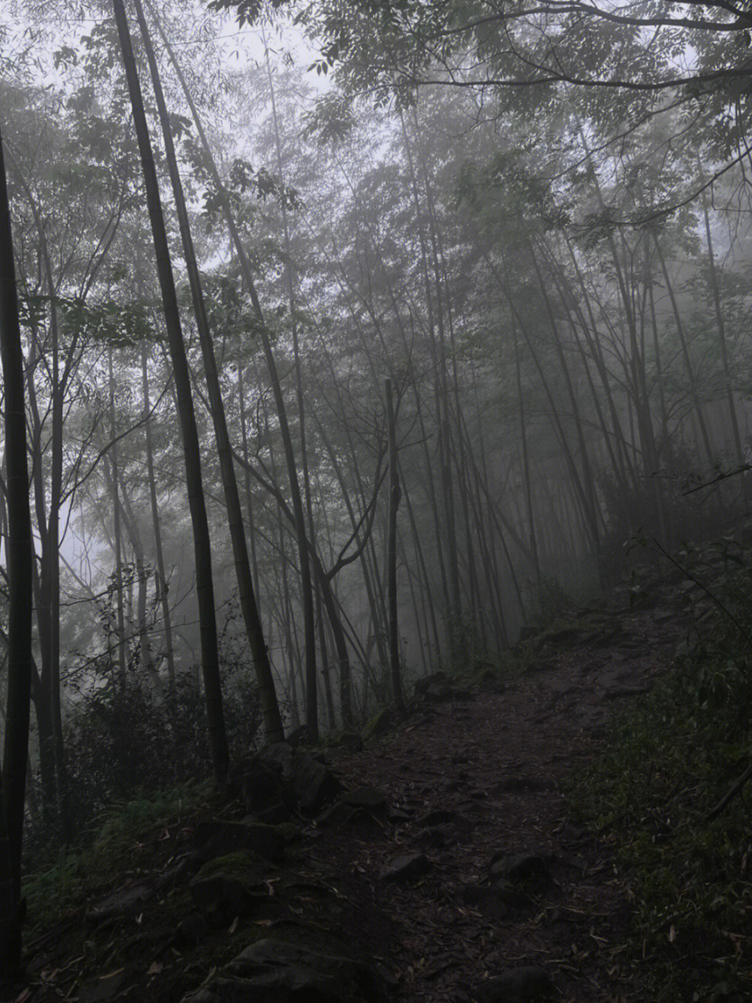 山中雨景图片