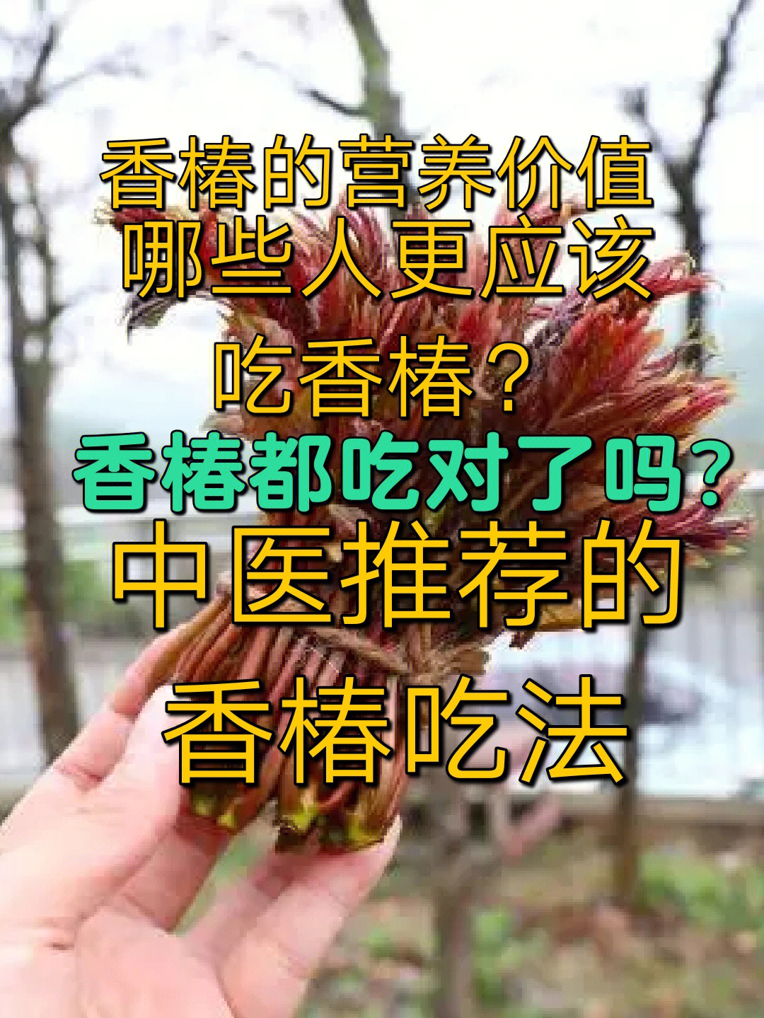 香椿功效图片