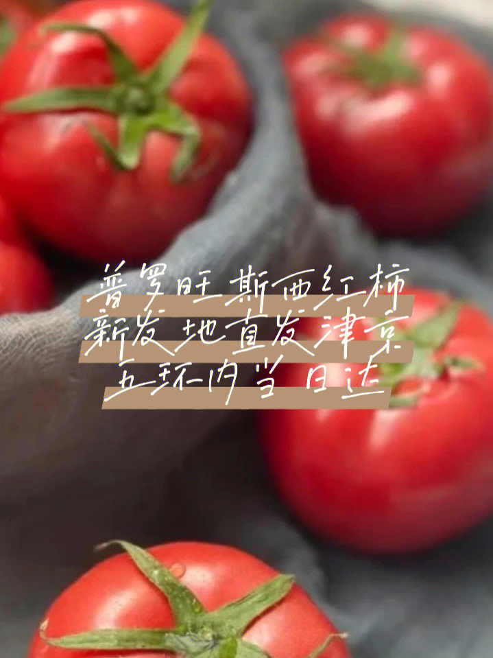 普罗旺斯西红柿广告语图片