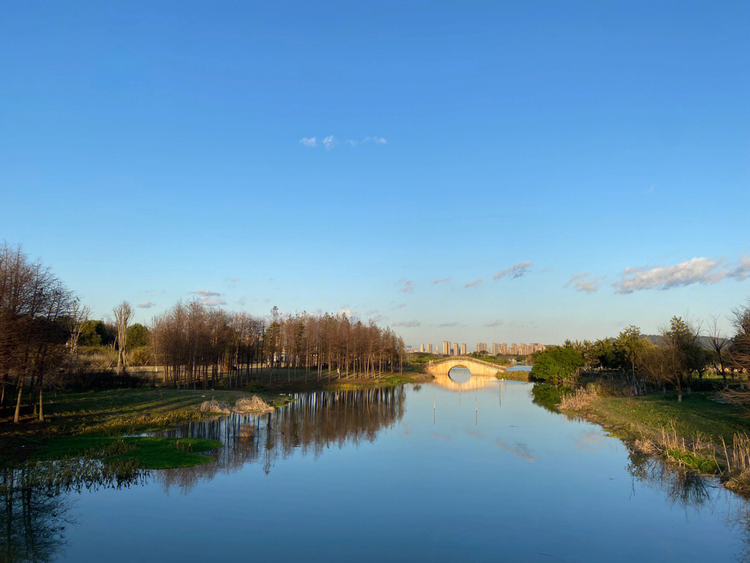 临沂李公河湿地公园图片