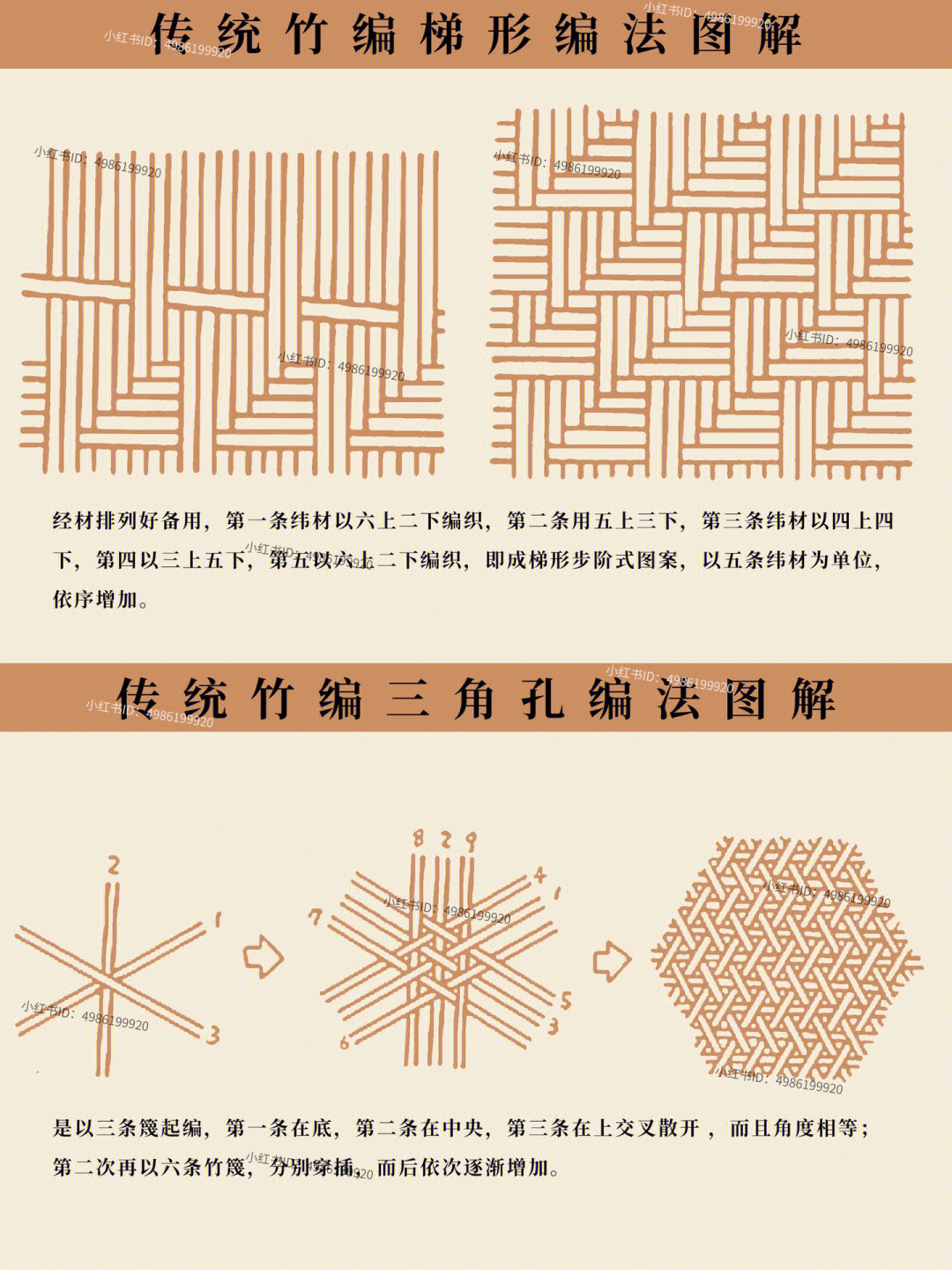 富贵竹编织方法图解图片