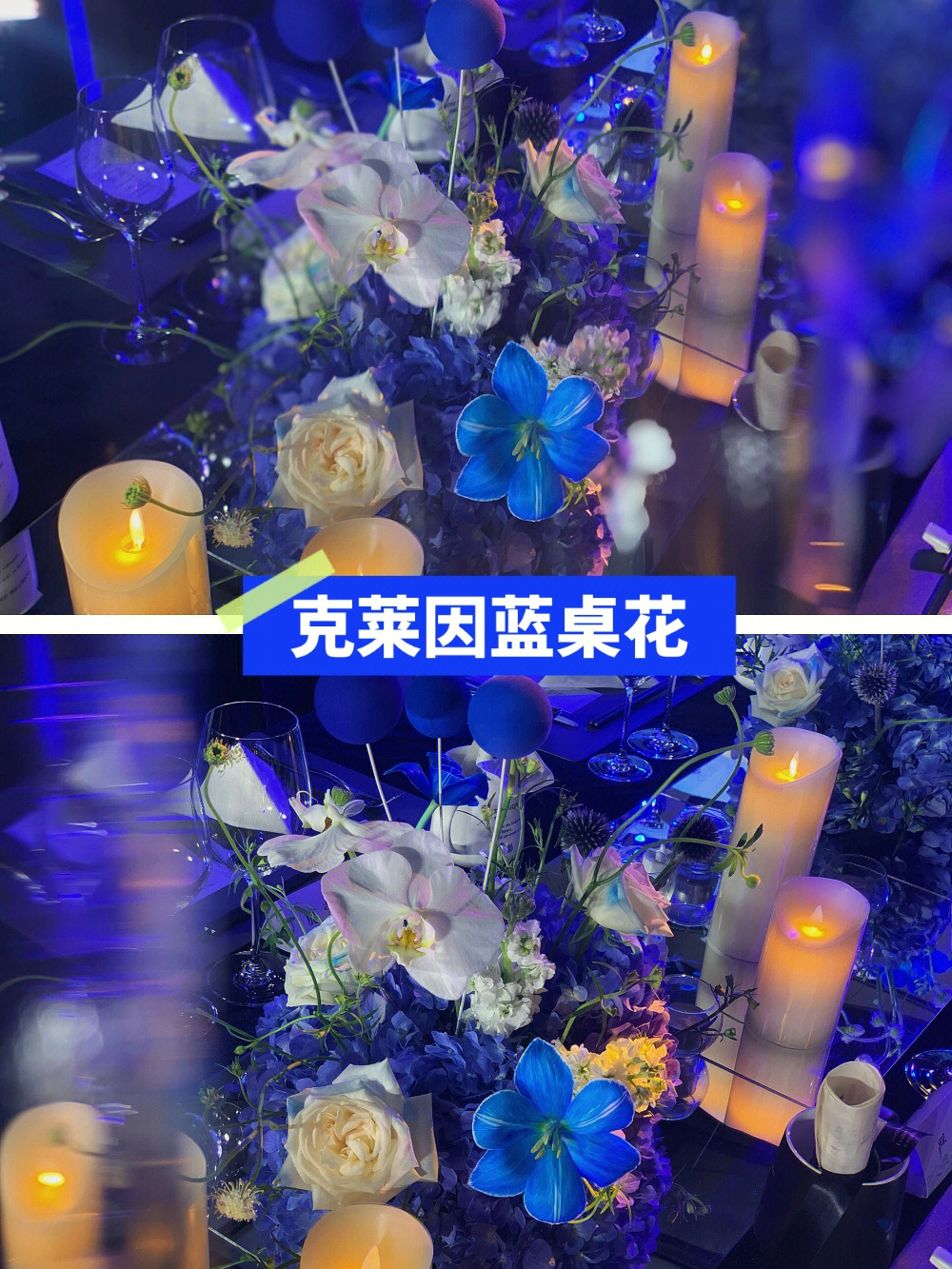 桌花蓝色长桌花克莱因蓝桌花手机实拍分享